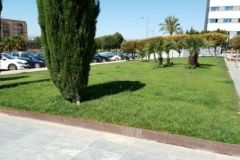 jardin