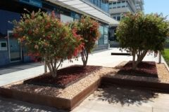 jardin2